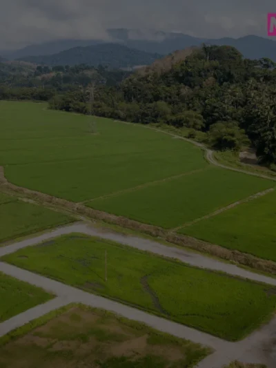 Terrenos