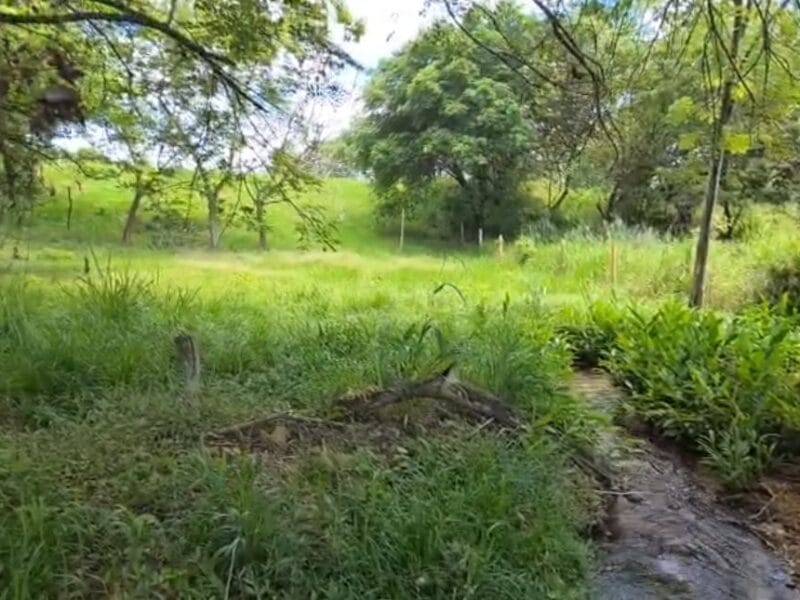 Lotes de 2.000 Mt² Villas del Lago