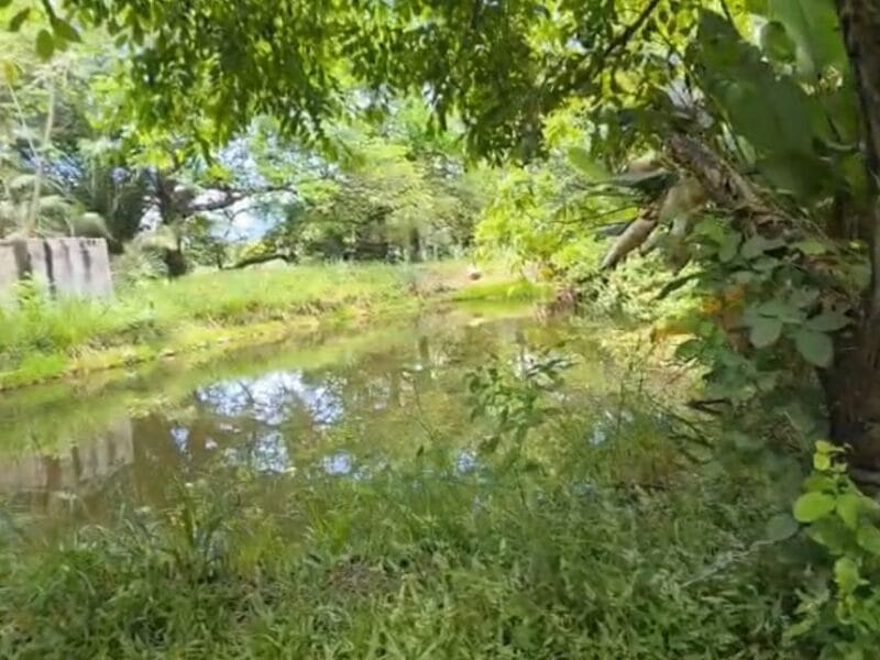Lotes de 2.000 Mt² Villas del Lago