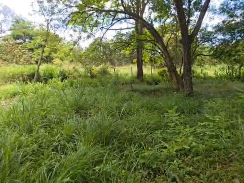 Lotes de 2.000 Mt² Villas del Lago