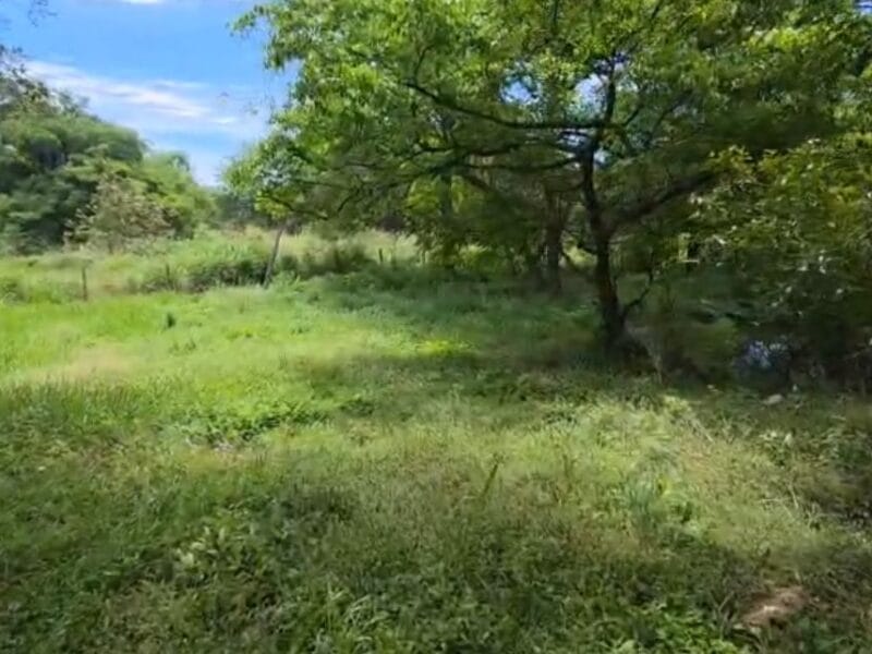 Lotes de 2.000 Mt² Villas del Lago
