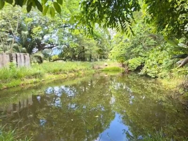 Lotes de 2.000 Mt² Villas del Lago