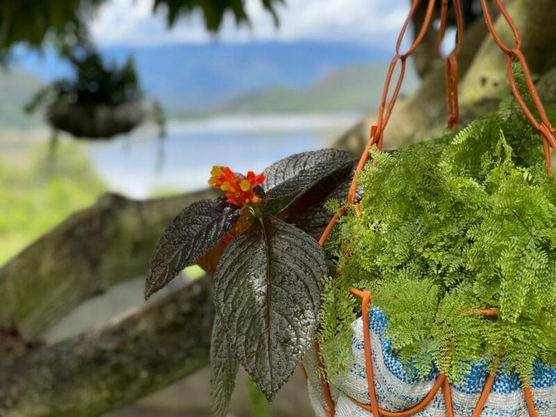 Condominio Villas de Santa Elena