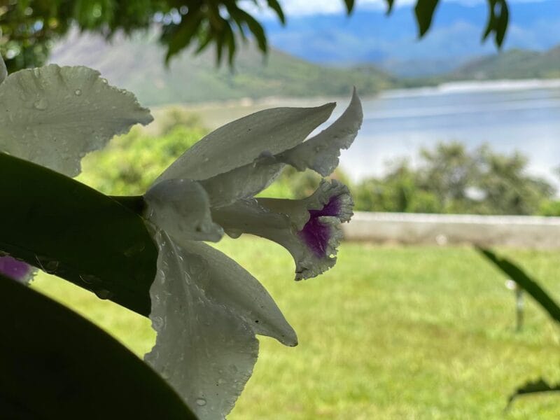 Condominio Villas de Santa Elena