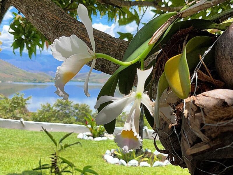 Condominio Villas de Santa Elena